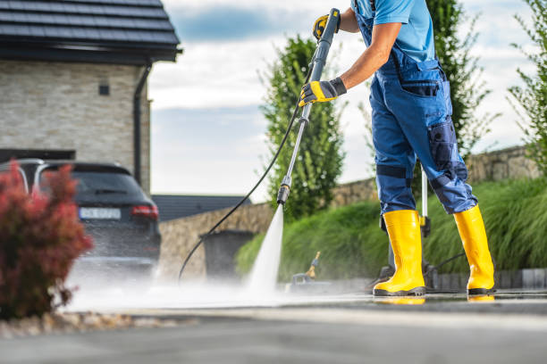 Best Roof Power Washing Services  in Carbondale, IL